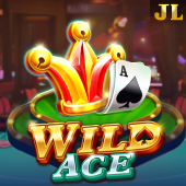 Wild Ace wj3 vip slot